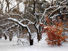 -长春市南湖公园