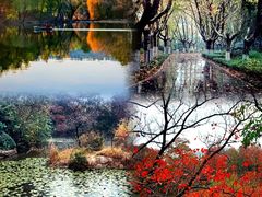 -承德避暑山庄景区