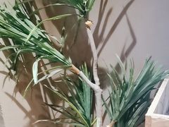 -567·密室逃脱(大良店)