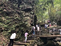 -藏龙百瀑风景区