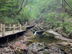 -本溪汤沟绿石谷森林公园