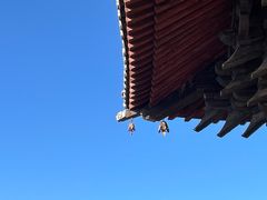 -善化寺