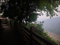 景点-铁山坪森林公园