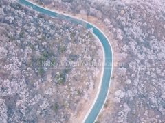 -妙峰山风景名胜区