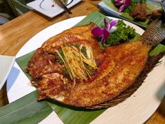 -紫滇源云南生态菜(丹凤街店)