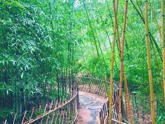 -竹子庵公园