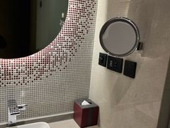 -南京禄口机场雅高铂尔曼大酒店