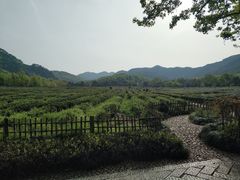 -中国茶叶博物馆(双峰馆区)