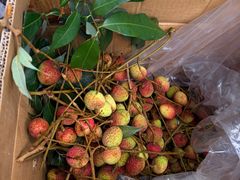 -西双版纳集贸市场