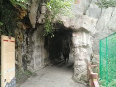 -汉中石门栈道风景区