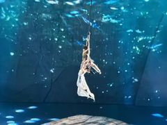 -重庆国际马戏城