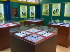 -上海昆虫博物馆