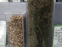 -北京中医药大学-中医药博物馆