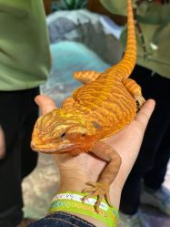 -酷嗒动物文化乐园(cutezoo西溪乐天城店)