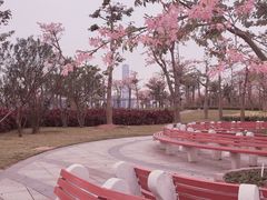 -芒洲湿地公园