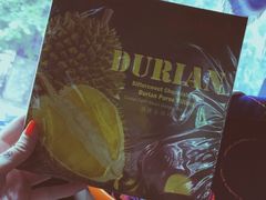 -Belice Chocolate Kingdom