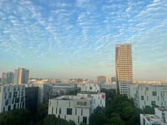 -上海漕河泾万丽酒店