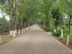 -东郊湿地公园