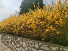 -北京西山国家森林公园