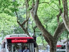 -湖畔居茶楼(湖滨店)