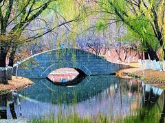 -长白岛森林公园