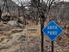 -北京鹫峰国家森林公园