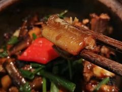 啫啫黄鳝煲-大榕树下顺德菜(融创茂店)