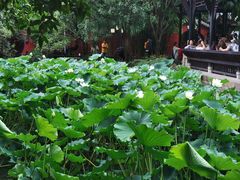 -成都武侯祠博物馆