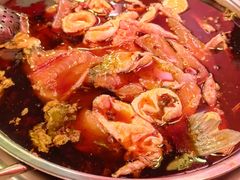 -黑龙滩生态鱼火锅(百寿路店)
