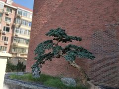 门面-俏江南天津时尚曲艺主题餐厅(马场道店)