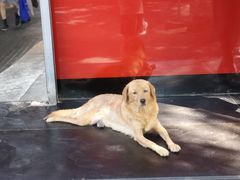 -朝阳菜场(白塔西路店)