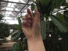 -南通洲际绿博园