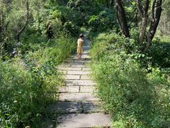 -长春市南湖公园