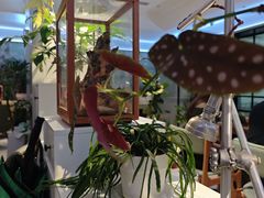 -一尺花园(安和花园店)