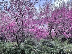 -成都杜甫草堂博物馆