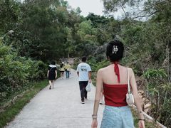 -广东惠东海龟国家级自然保护区