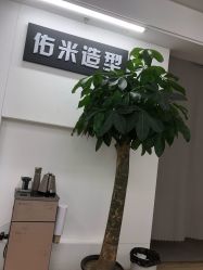 点击看大图 -佑米造型