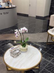 -上海首尔丽格医疗美容医院