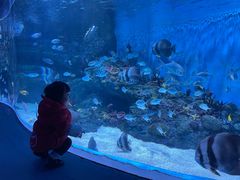 -海合安成都极地海洋公园