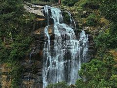 -海南热带雨林国家公园吊罗山景区