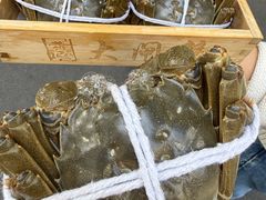 -黄记大闸蟹专卖店·活蟹·醉蟹