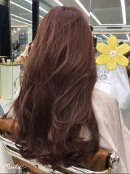 -潘多拉Hairsalon