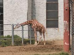 -石家庄市动物园