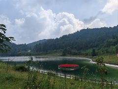 -武陵山森林公园