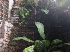 大堂-自然餐厅(Phuket)