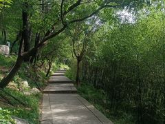 -崂山巨峰游览区