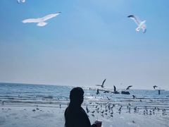 -老虎石海上公园