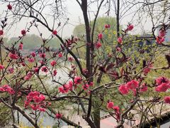 -郭守敬纪念馆