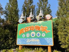 -上海迪士尼度假区