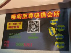 -喵屿·大理花园猫咖